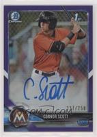 Connor Scott #/250