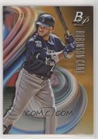 Robinson Cano #/25