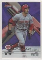 Joey Votto #/250