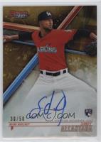 Sandy Alcantara #/50