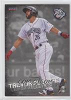 Trevor Plouffe