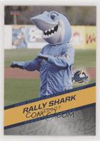 Rally Shark