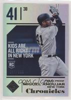 Miguel Andujar #/299