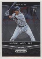 Miguel Andujar