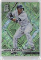 Miguel Andujar #/49