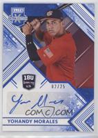 Yohandy Morales #/25