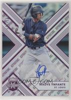 Wadye Ynfante #/100