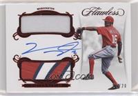 Victor Robles #/20