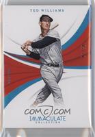 Ted Williams #/10