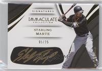 Starling Marte #/25