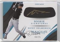 Nicky Delmonico [EX to NM] #/25