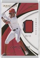 Victor Robles #/15