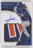 Amed Rosario #/25