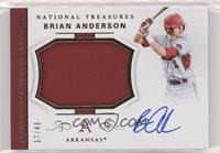 Brian Anderson #/49