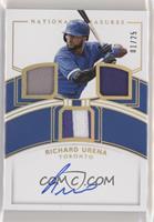 Richard Urena #/25