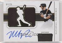 Matt Davidson #/25