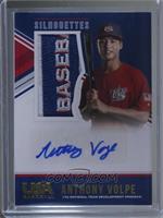 Anthony Volpe [Noted] #/3