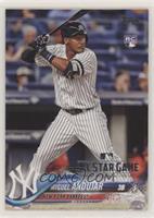 Miguel Andujar