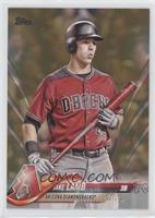 Jake Lamb #/2,018