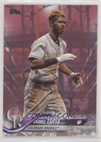 Raimel Tapia #/50