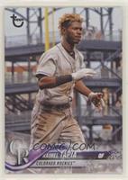 Raimel Tapia #/99