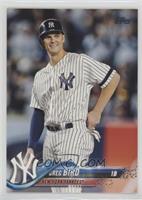 Greg Bird (Pinstripes)