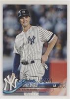 Greg Bird (Pinstripes)