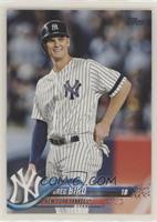 Greg Bird (Pinstripes)