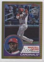 Update Series - Marcell Ozuna #/50