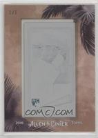 Nick Williams #/1