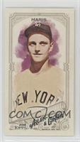 Roger Maris