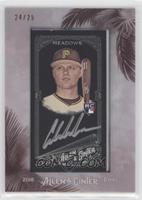 Austin Meadows #/25