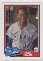 1981 Design - Ernie Banks (Capless in Dugout)