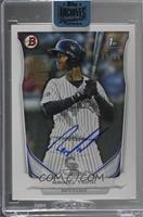 Raimel Tapia (2014 Bowman Prospects) [Buyback] #/99