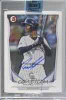 Raimel Tapia (2014 Bowman Prospects) [Buyback] #/99