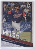 Players Weekend Variation - Byron Buxton [EX to NM]