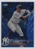 Greg Bird #/150