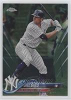 Greg Bird #/99