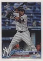 Miguel Andujar