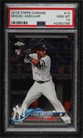 Miguel Andujar [PSA 10 GEM MT]