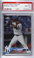 Miguel Andujar [PSA 10 GEM MT]