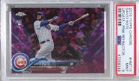 David Bote [PSA 9 MINT]