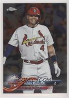 All-Star - Yadier Molina