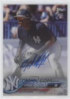 Miguel Andujar