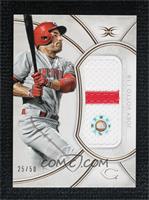 Joey Votto #/50