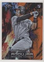 Miguel Andujar #/299