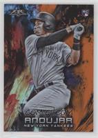 Miguel Andujar #/299