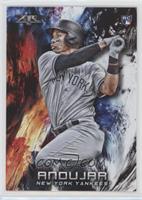 Miguel Andujar