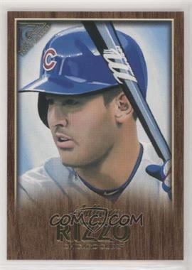 2018 Topps Gallery - [Base] - Wood #45 - Anthony Rizzo