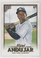 Miguel Andujar